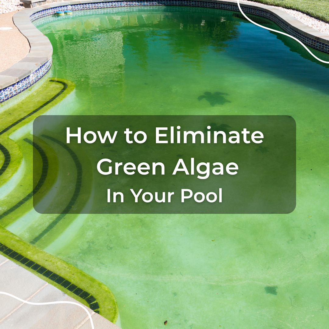 How to Eliminate Green Algae in Your Pool – Varify