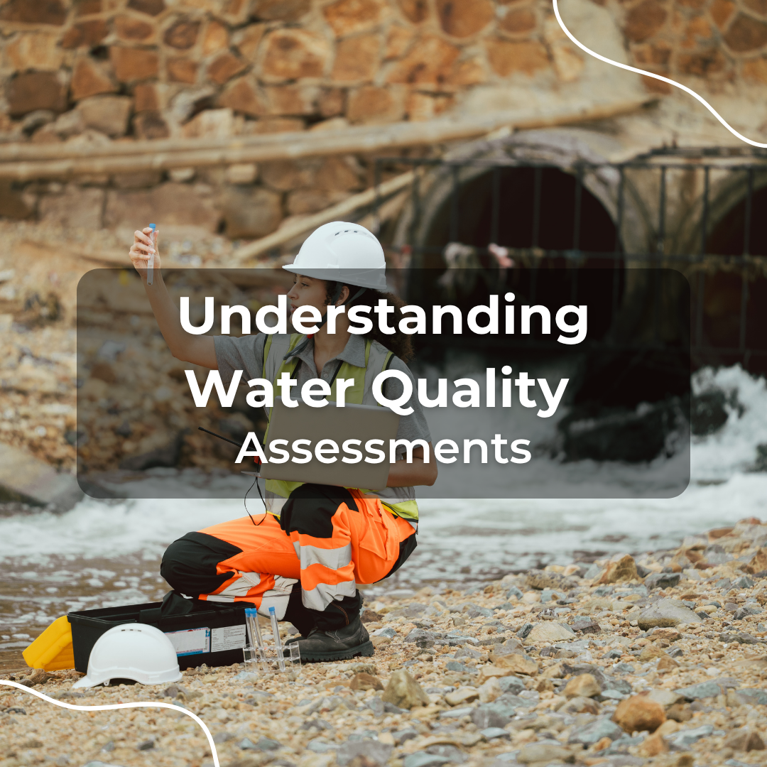 Understanding Water Quality Assessment