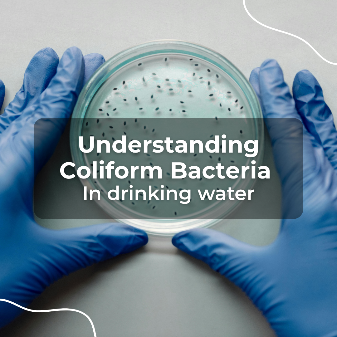Who Coliform Understanding Coliform Bacteria in Drinking Water: A Guide with Varify